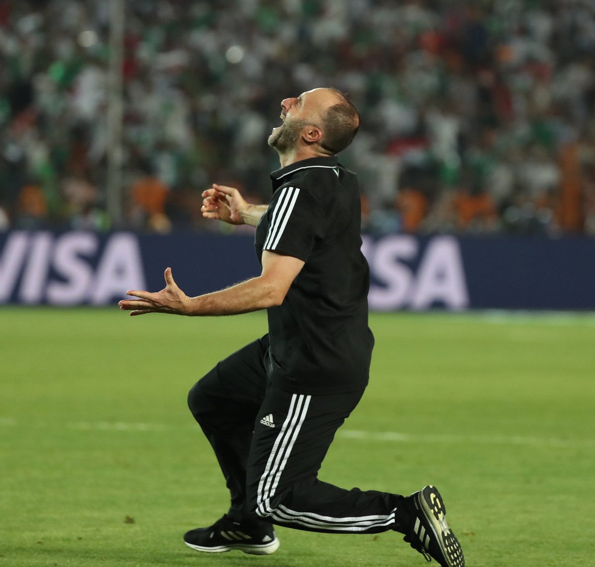 أمم أفريقيا : جماهير مصر تفتح النار علي بلماضي وتطلب عرضه علي طبيب نفسي