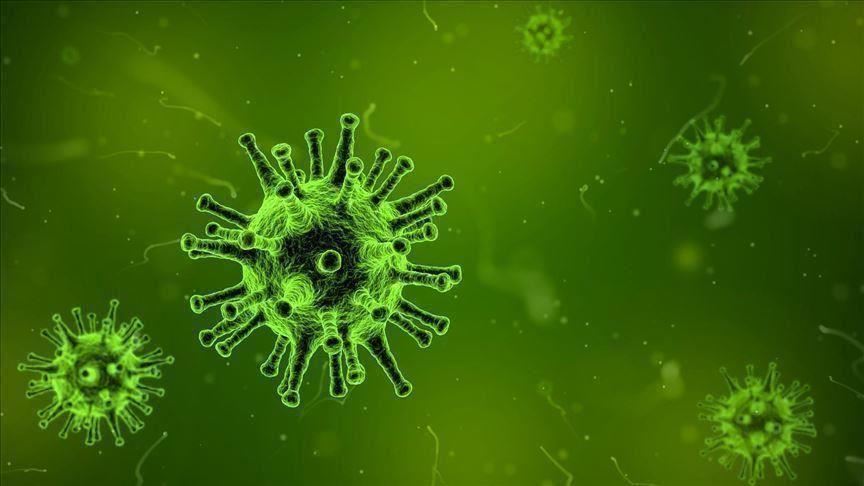 أخبار مصر : مصر تسجل أعلي معدل يومي فى اصابات كورونا..وانخفاض الوفيات