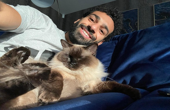 محمد صلاح ينشر صورتة برفقة قطة .. ويعلق : لا أهتم بالعالم (صور)