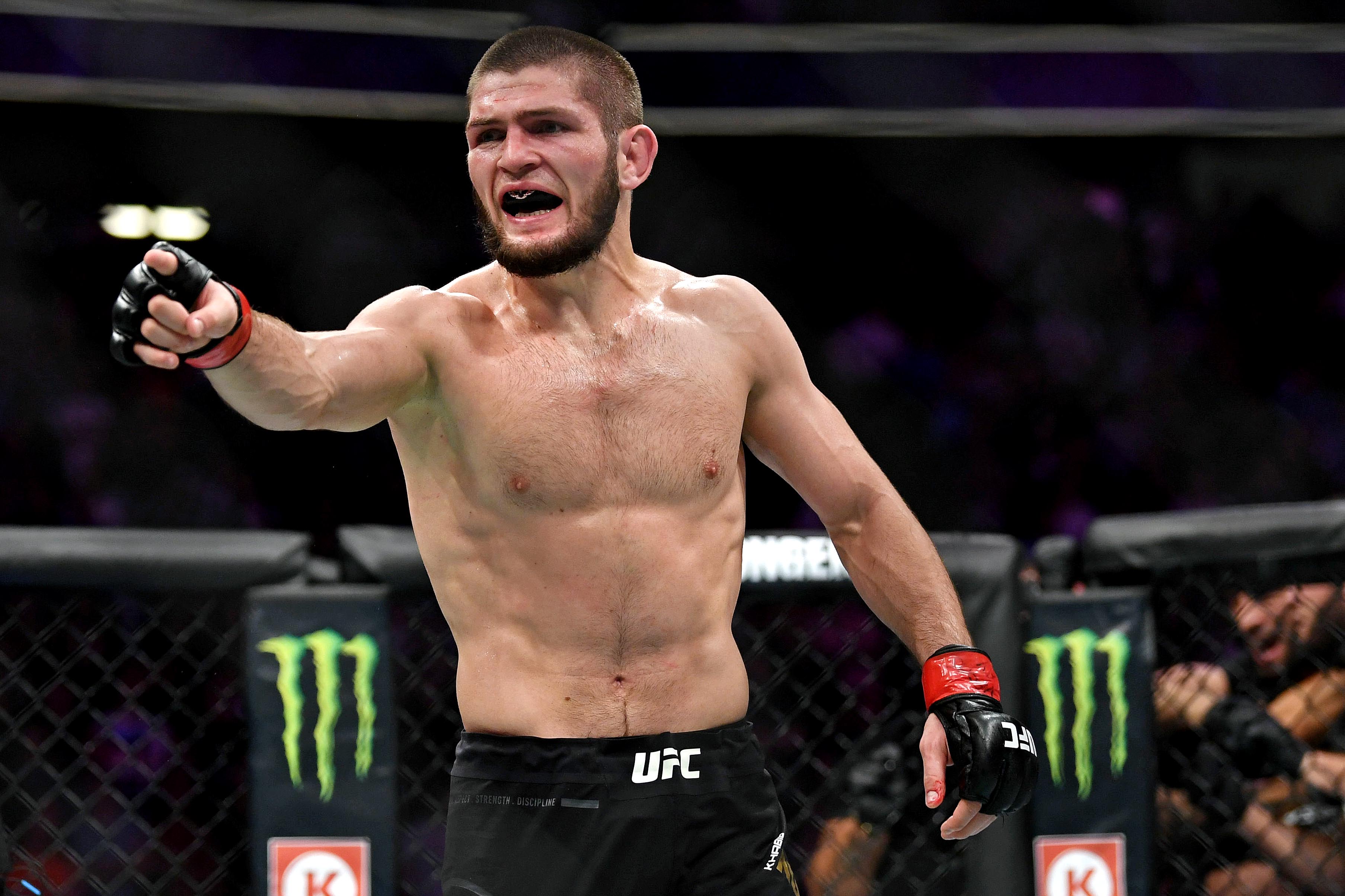 رئيس UFC يعلن:نورمحمدوف سيعود من الاعتزال بناء على ما سيحدث في هذه الليلة!