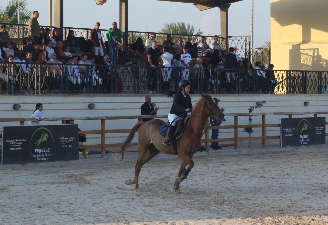 بالصور .. انطلاق منافسات الحلقة الرابعة من بطولة الجمهورية للفروسية