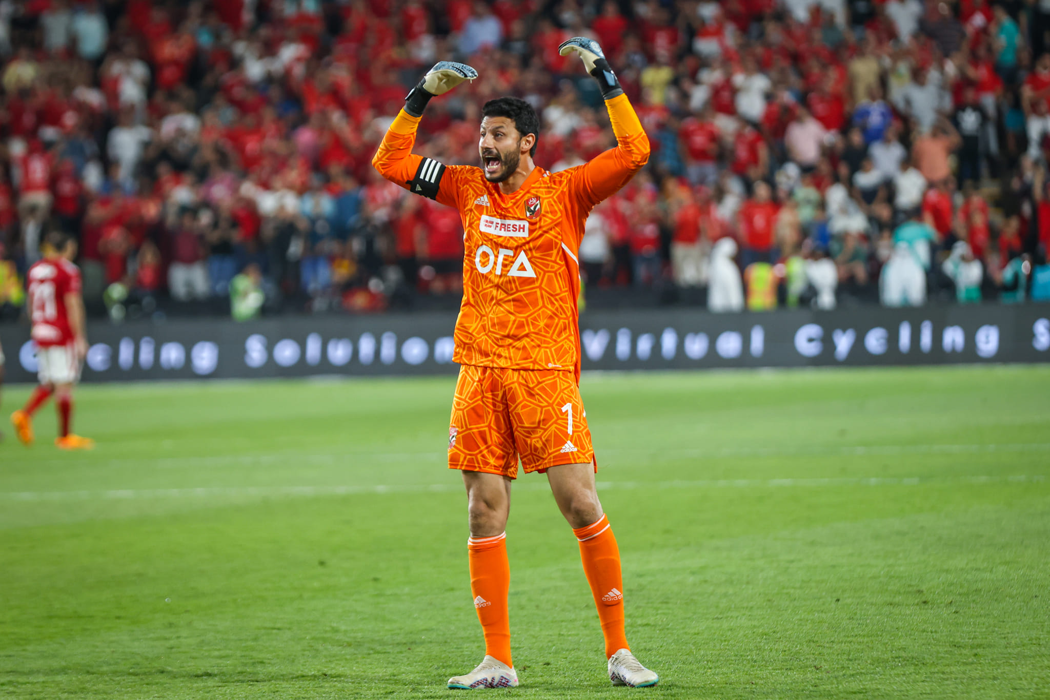 أخبار الأهلي : الأهلي يحدد بديل الشناوي والشحات حال رحيلهم عن الفريق