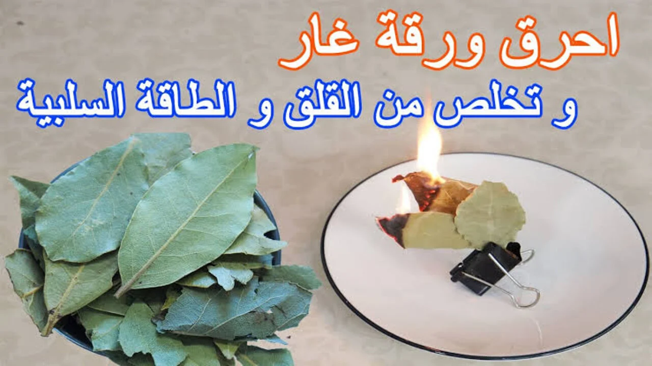 “سوف تغير حياتك للأبد” عشبة ورق الغار الربانية للقضاء على دهون البطن وشد الترهلات في أسبوع .. معجزة ورق الغار ستجعل بطنك مستطحا في 5 أيام