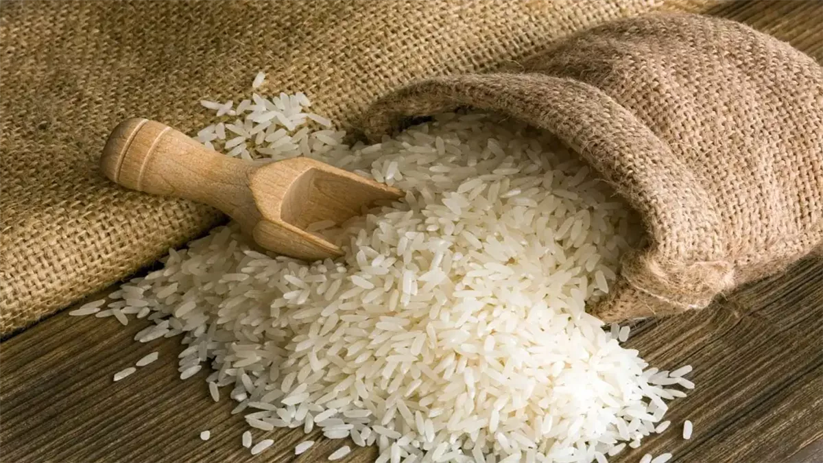 سعر طن الأرز الشعير اليوم الجمعة 24 يناير 2025 للمستهلك داخل الاسواق المصرية