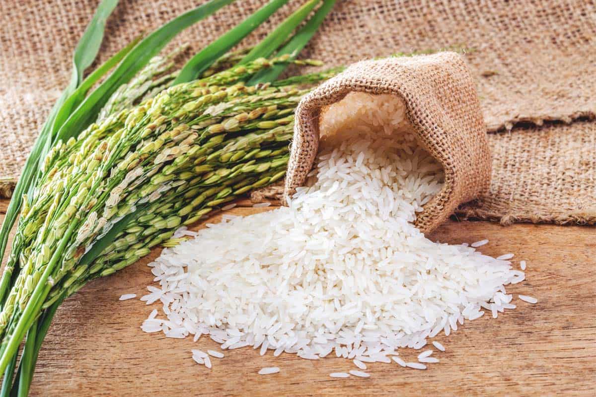 سعر طن الأرز الشعير اليوم الخميس الموافق 23 يناير 2025 في جميع الأسواق للمستهلك