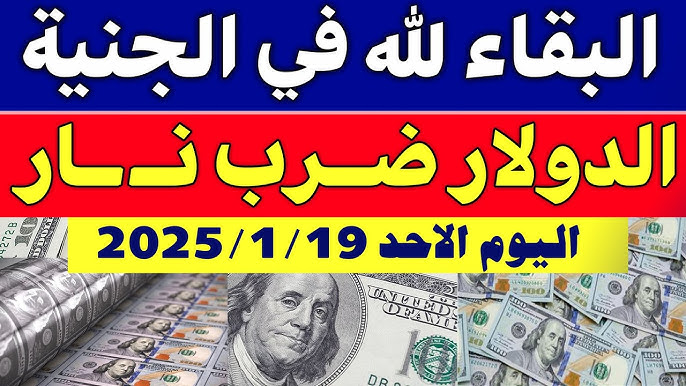 أعلى سعر للدولار اليوم في السوق السوداء في مصر بنهاية تعاملات الأحد 19 يناير 2025