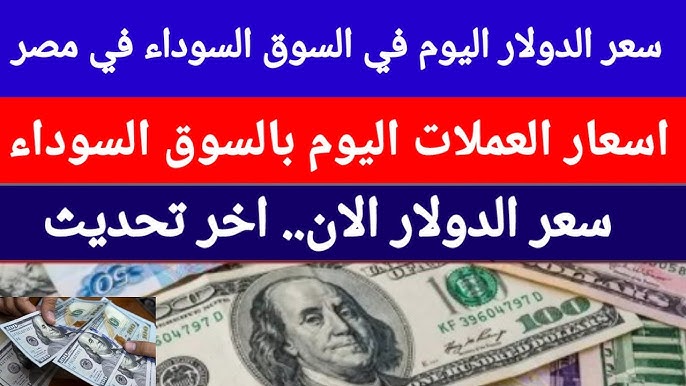 ارتفاع كبير في أسعار العملات في السوق السوداء اليوم في مصر الأحد 19-1-2025