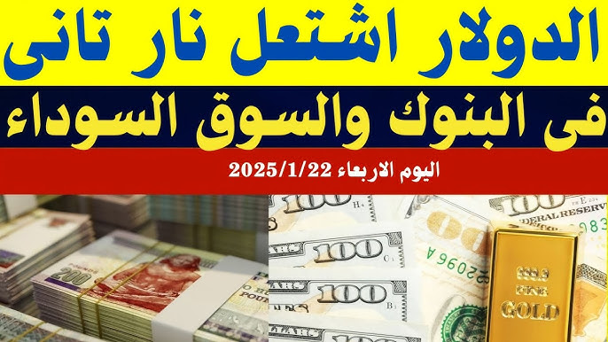 كام سعر 100 الدولار في السوق السوداء؟.. خسارة كبيرة في سعر الدولار مقابل الجنية الأربعاء 22 يناير 2025