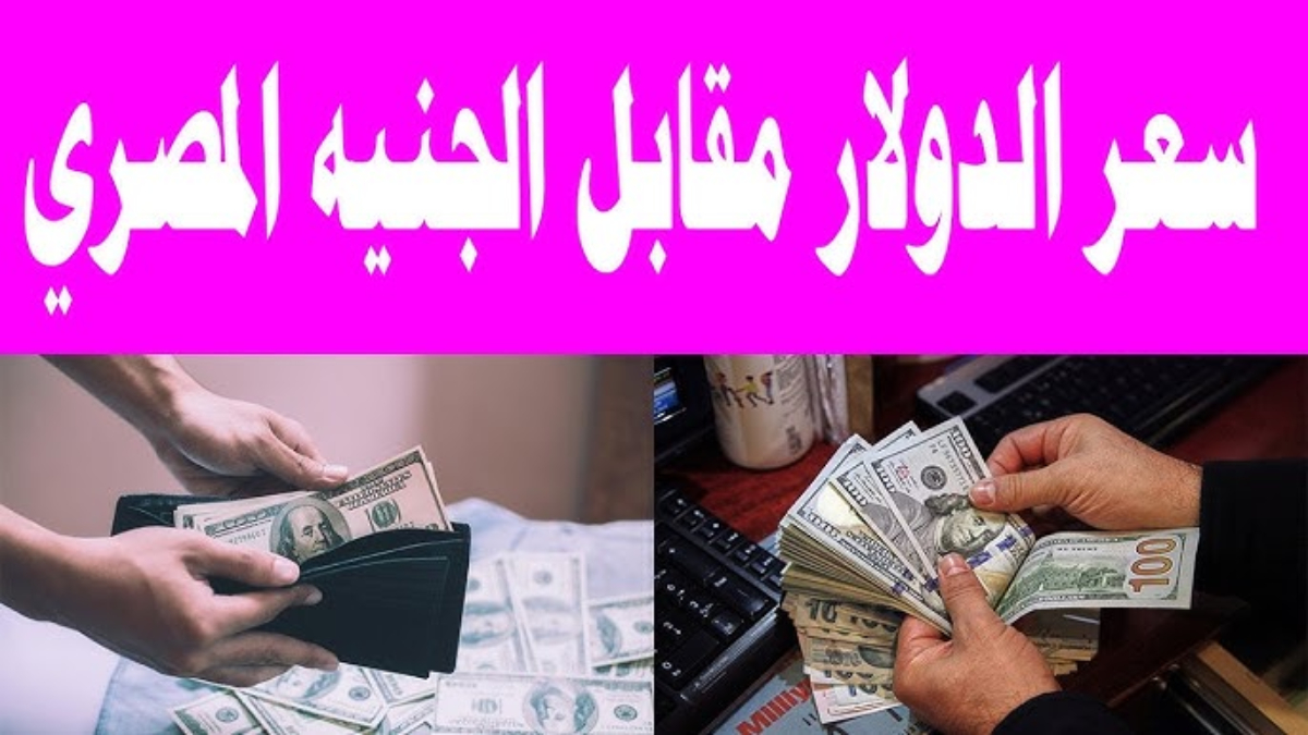سعر الدولار مقابل الجنيه المصري اليوم الأربعاء 15 يناير 2025| ما هي العوامل المؤثرة علي سعر الدولار في مصر؟