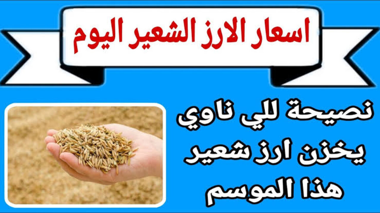 (حبة رفيعة وعريضة) سعر طن الأرز الشعير اليوم الخميس للتجار في مصر