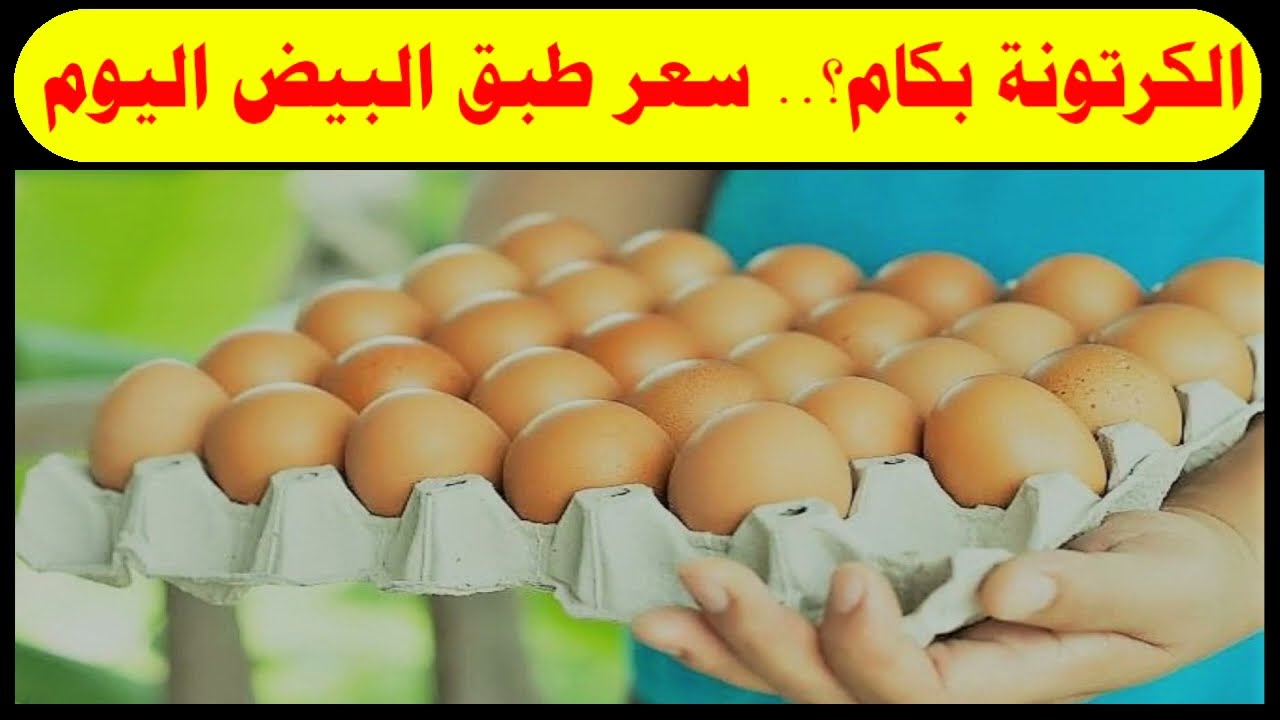 (احمر، ابيض) سعر كرتونة البيض اليوم للمستهلك في الاسواق المصرية