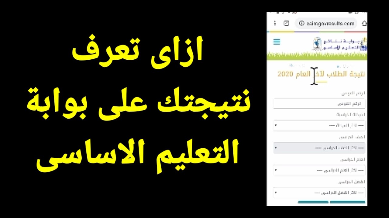 (ابتدائي، اعدادي، ثانوي) رابط بوابة نتائج التعليم الأساسي 2025 بالرقم الجلوس
