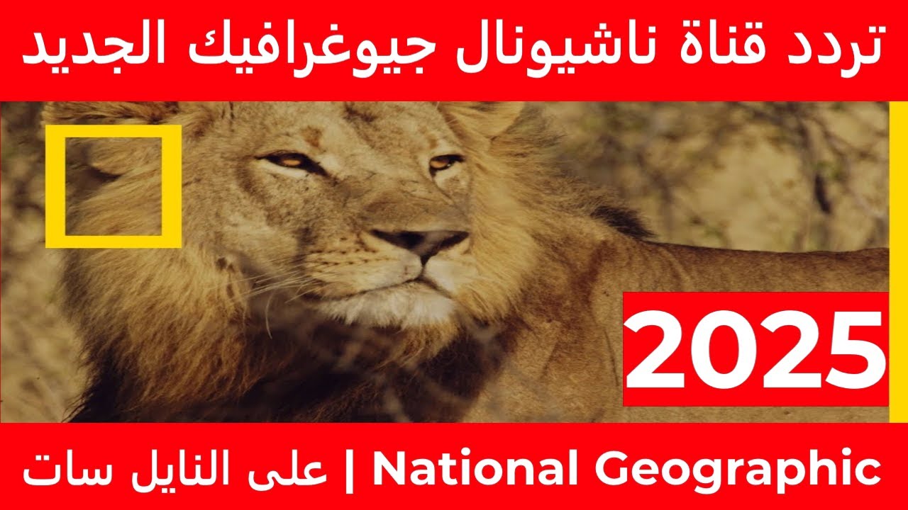 اضبط تردد قناة ناشيونال جيوغرافيك 2024 واستمتع بأروع البرامج الوثائقية HD