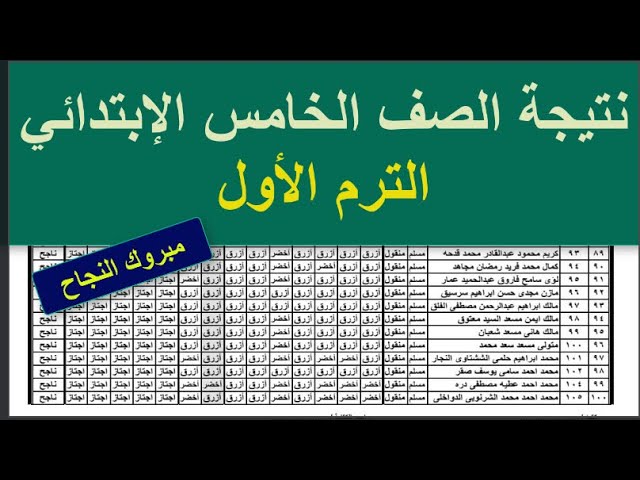 “النتائج هُنا” الآن نتيجة الصف الخامس الابتدائي بالاسم ورقم الجلوس عبر بوابة التعليم الأساسي eduserv.cairo.gov.eg