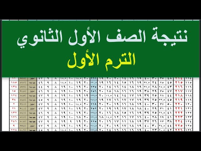 “ظهرت” نتيجه الصف الاول الثانوى برقم الجلوس 2025 مُتاحة عبر moe.gov.eg