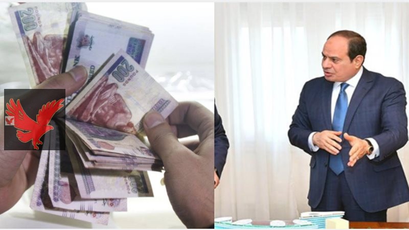زيادة المعاشات 2025.. هيئة التأمينات الاجتماعية المصرية بتفرح أصحاب المعاشات بخبر هام وعاااجل “تصرفوهم في الخير والهنا”