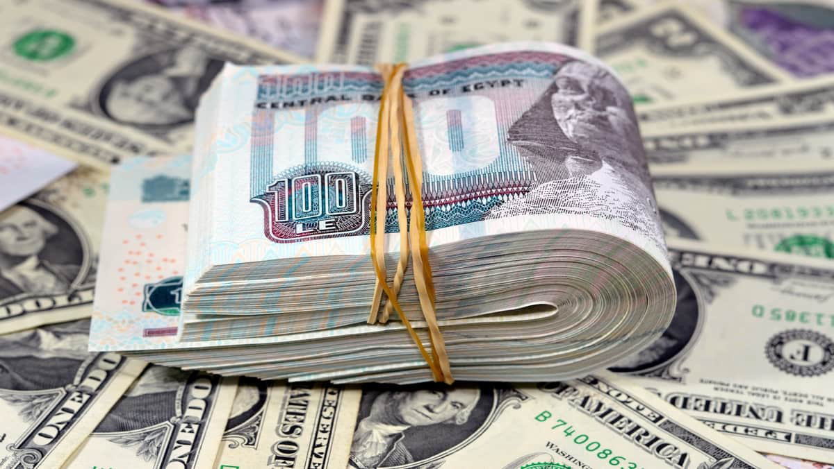 سعر الدولار اليوم البنك الأهلي السبت 18-1-2025 بيعا وشراءً.. ما هي العوامل المؤثرة على الدولار؟