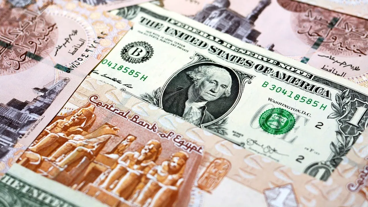 استقرار سعر الدولار اليوم البنك الأهلي والبنوك المصرية الأربعاء 15 يناير 2025 بمنتصف التعاملات