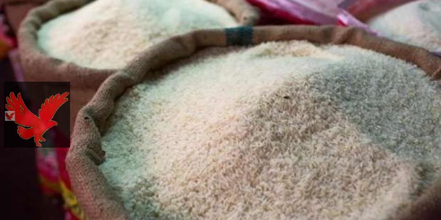 مش هتصدق وصل لكام بقي برخص التراب.. سعر طن الأرز الشعير اليوم الخميس 30 يناير 2025 “بكام الرفيع والعريض”
