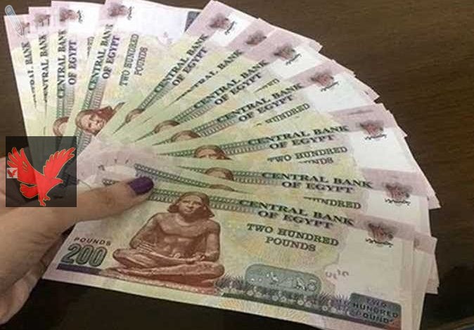 أخر أخبار المعاشات الآن عاجل.. موعد صرف المعاشات شهر فبراير 2025 وخطوات الاستعلام عن قيمته “بشرة خير”