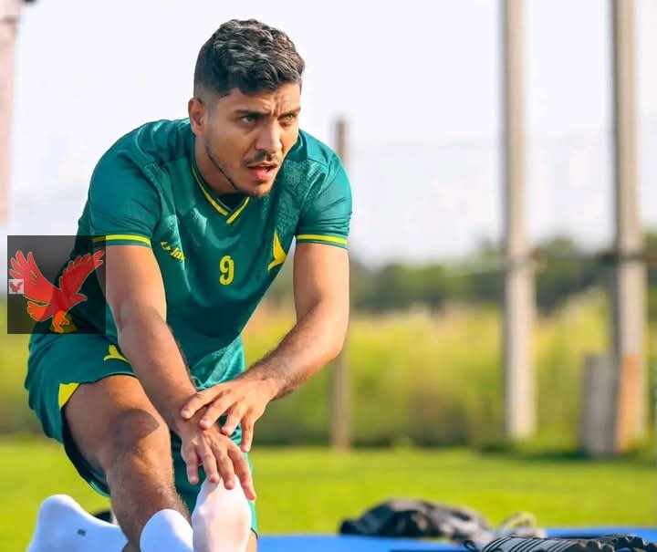 الأهلي يقترب من التعاقد مع محمد شريف للعودة في الصيف