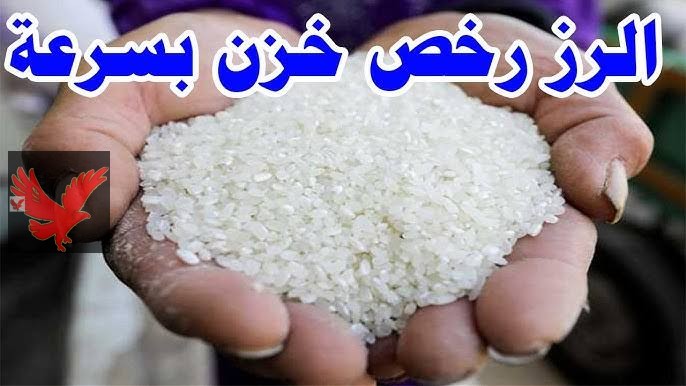 برخص التمن “رفيعه وعريضة الحبة ” .. سعر الأرز الشعير اليوم السبت 1 فبراير 2025 “مفاجأة غير متوقعة”
