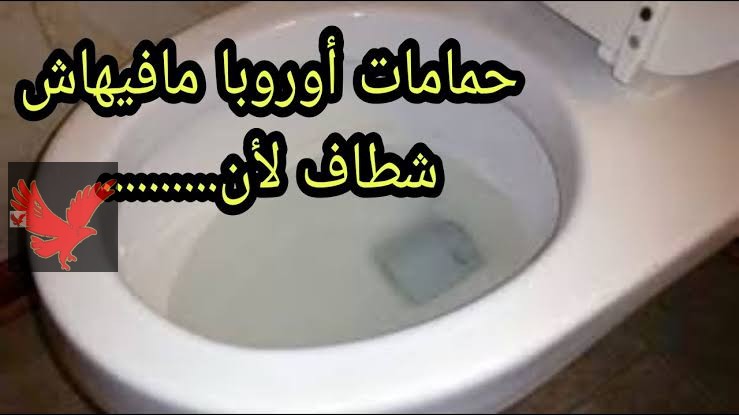 “ليه حمامات أوروبا مافيهاش شطاف ؟؟” اسباب عدم استخدم الأوروبيون الشطافة داخل دورات المياة..سوف تصدم من السبب!