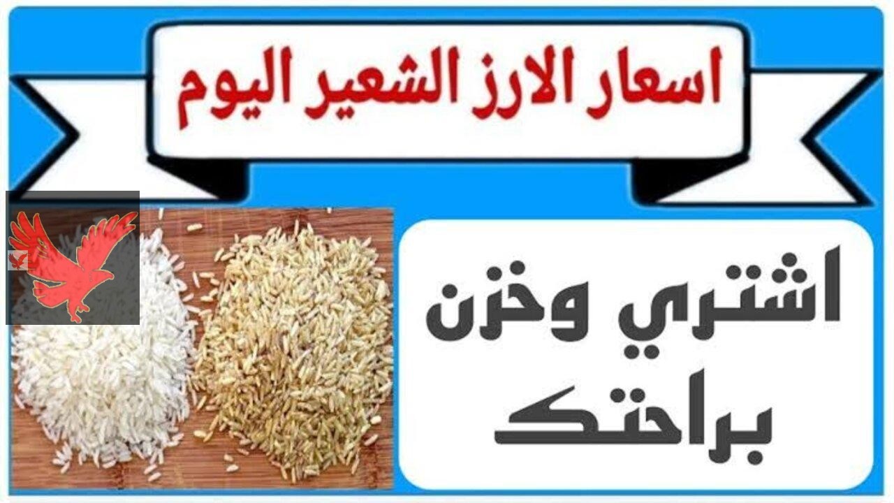 اشتروا لشهر رمضان يابشررررر.. أسعار الأرز الشعير اليوم في الأسواق المصرية الخميس 27 فبراير 2025
