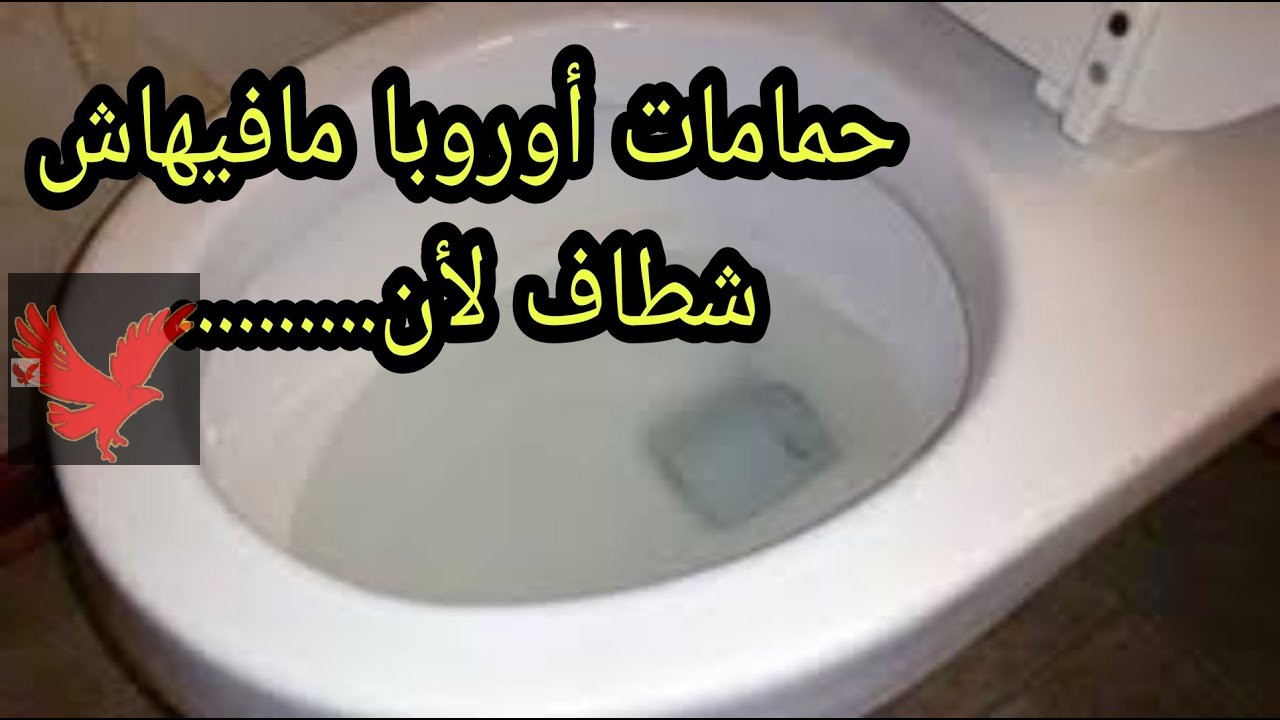 مش هتصدق السبب ايه.. اسباب عدم استخدام الأوروبيون الشطافة “غير متوقع ومحدش يعرفه خالص”