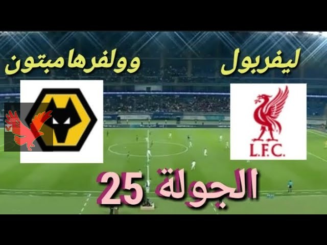 شجع الفرعون المصري محمد صلاح.. تشكيل ليفربول امام وولفرهامبتون بمباراة الجولة الـ25 في الدوري الإنجليزي 2024-2025