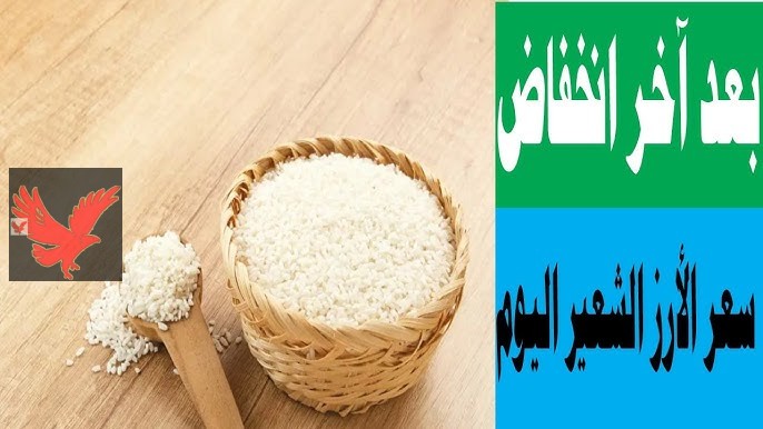 عااااجل “عريض ورفيع الحبة” سعر الأرز الشعير اليوم في مصر الأربعاء 5 فبراير 2025 “بكام طن عريض ورفيع الحبة”