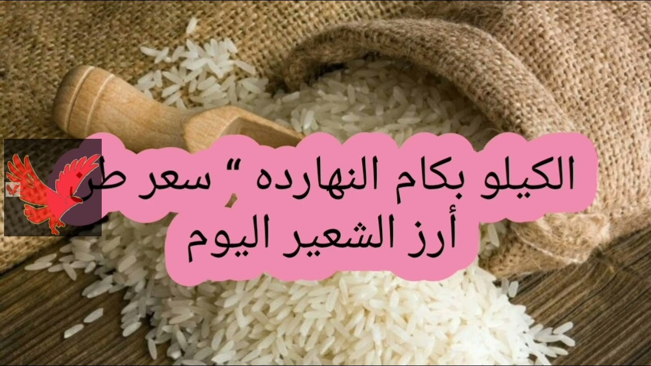 بكام طن رفيع وعريض الحبة.. سعر الأرز الشعير اليوم الثلاثاء 25 فبراير 2025 في الأسواق “تحديث جديد الآن”