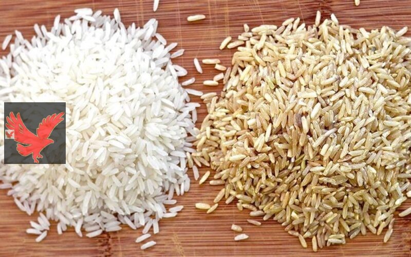 بكام طن عريض الحبة دلوقتي؟.. سعر الأرز الشعير اليوم السبت 1 فبراير 2025 في الأسواق