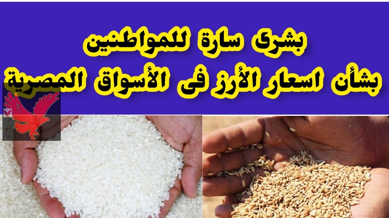 فرصة التخزين ياست الكل.. سعر الأرز الشعير اليوم الأربعاء 26 فبراير 2025 في الأسواق لطن العريض والرفيع الحبة