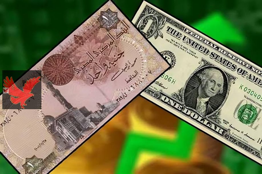 صدمة في سوق الصرف.. كيف تغيرت أسعار الدولار أمام الجنيه اليوم