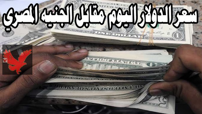 كم سعر 100 دولار في السوق السوداء الآن.. سعر الدولار اليوم مقابل الجنيه المصري الأربعاء 12 فبراير 2025 “بكام في البنك الاهلي”