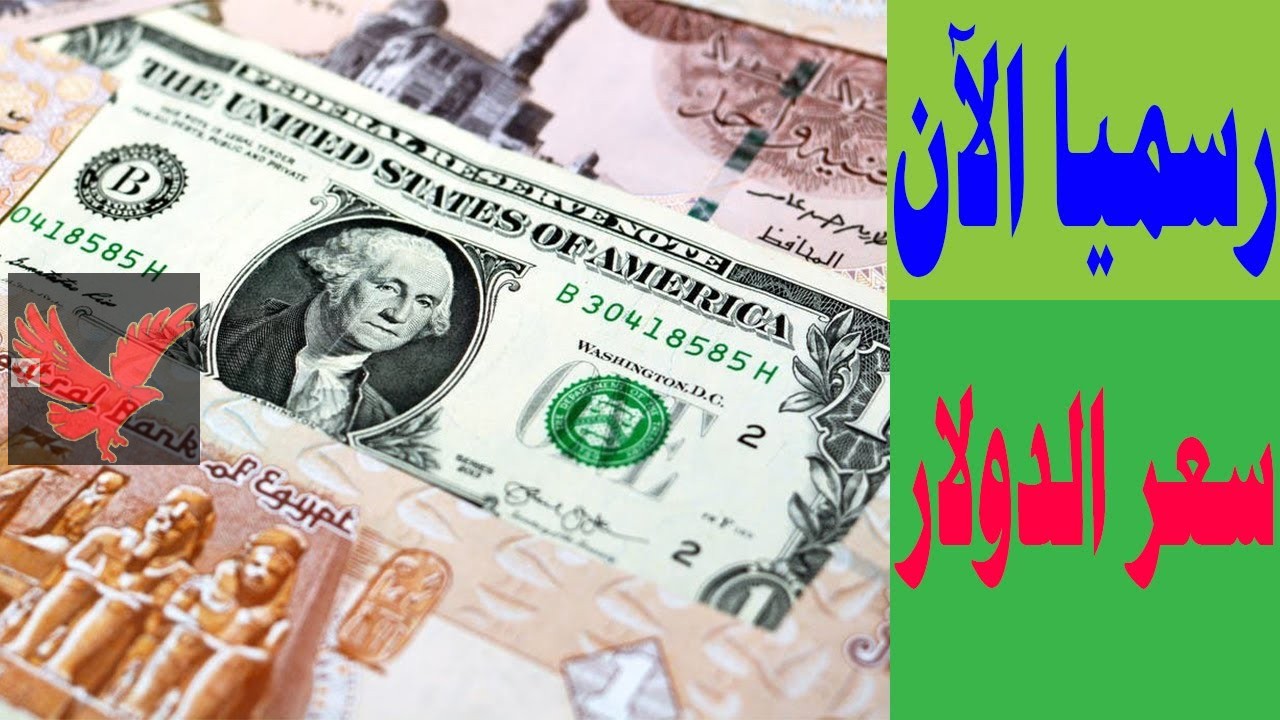 بكام 100 دولار الآن في السوق السوداء.. سعر الدولار اليوم الخميس 13 فبراير 2025 في البنوك المصرية “تحريك جديد”
