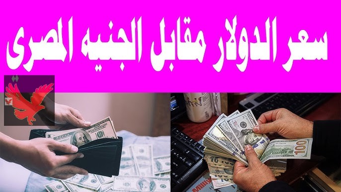 آخر تحديث.. 100 دولار كم جنيه مصري في السوق السوداء.. سعر الدولار مقابل الجنيه المصري اليوم الأربعاء 5 فبراير 2025 “بعد أخر ارتفاع رسميا”