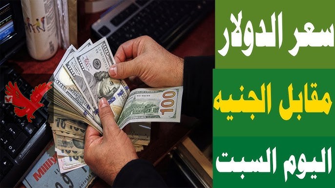 100 دولار في السوق السوداء كام مقابل الجنيه .. سعر الدولار اليوم الأحد 9 فبراير مقابل الجنيه في البنوك المصرية “أخر تحديث الآن”