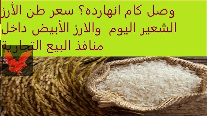 خزني لرمضان بسرعة ياست الكل.. سعر طن الأرز الشعير والأبيض اليوم الأربعاء الأحد 12 فبراير 2025 “تراجع وقلبان جديد”