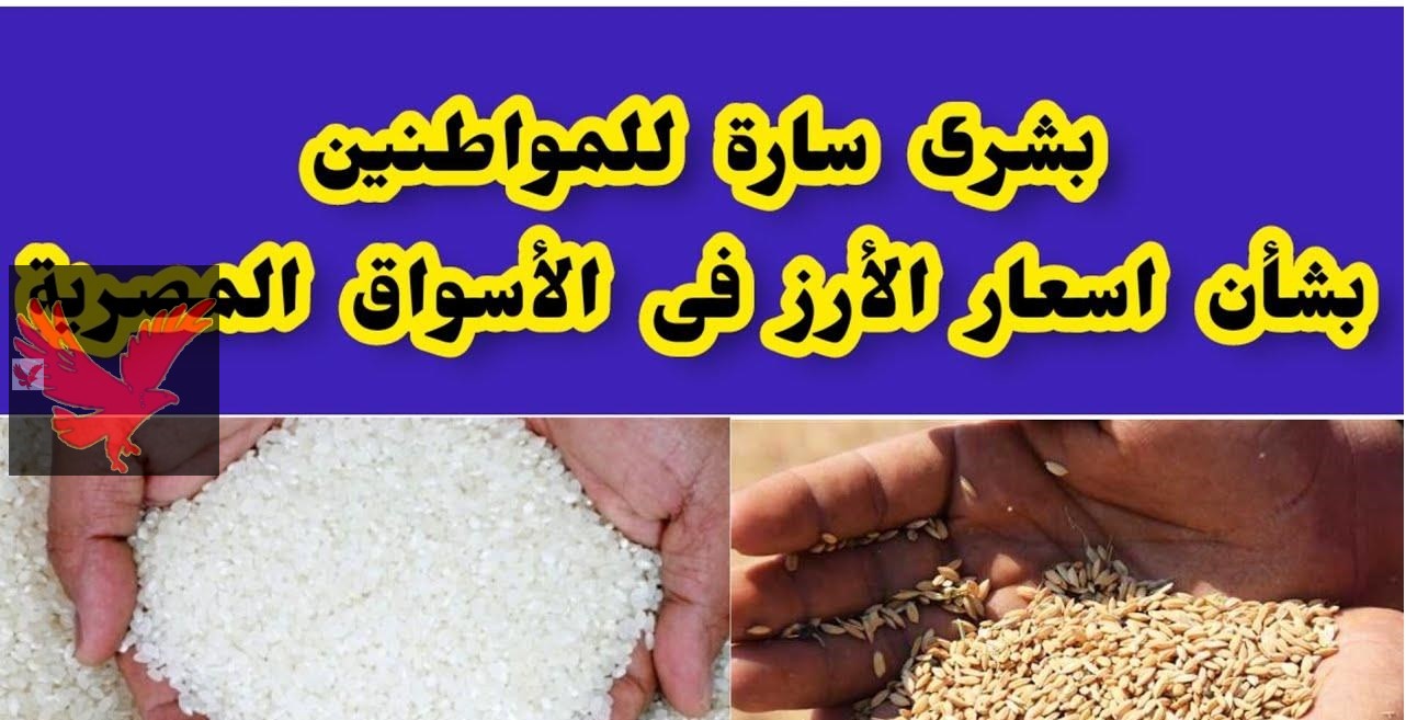 اشتري ياست الكل قبل شهر رمضان.. سعر طن الأرز الشعير اليوم في مصر الثلاثاء 25 فبراير 2025 “خزني بسرعة دلوقتي”