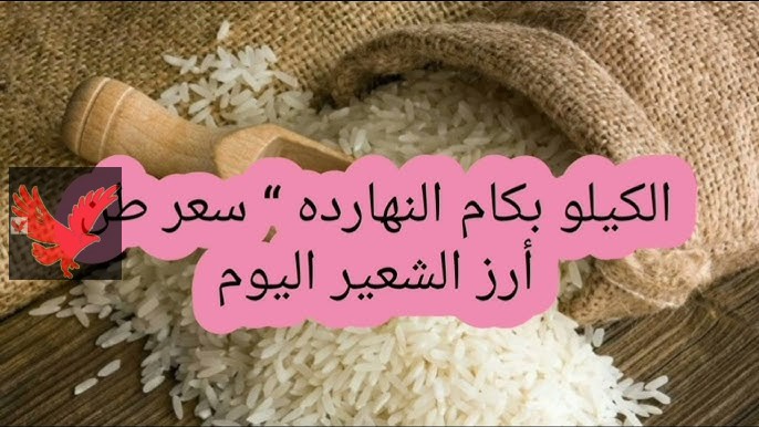 بكام طن عريض الحبة.. سعر طن الأرز الشعير اليوم الأربعاء 14 مايو 2025 في مصر “اشتري وخزني ياست الكل”