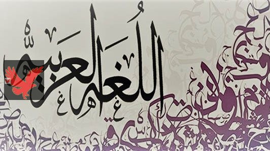 «هيجيب شلل للطلاب !!!!».. استاذ جامعي يجيب عن سؤال ما هو جمع كلمة امرأة في اللغة العربية؟ “الإجابة غريبة وفاجأت المدرسين”