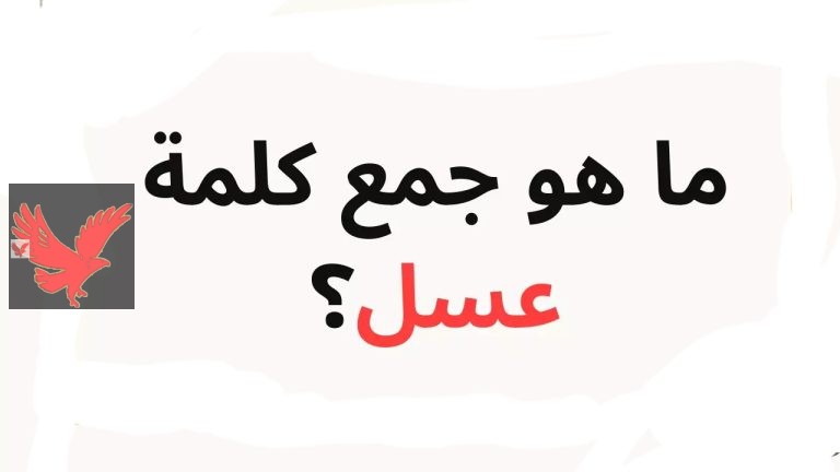 حيرت كل الطلاب والمعلمين.. ما هو جمع كلمة عسل في اللغة العربية؟ “الإجابة حيرت الكثير ومحدش عرف يجاوب”