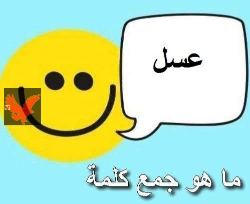 تعرف جمع كلمة عسل في اللغة العربية إيه ؟… اكتشف جمع كلمة عسل التي احتار فيها المعلمين والطلاب