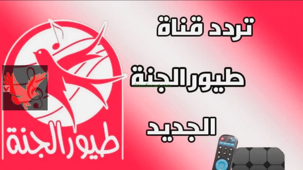 اجواء العيلة برعاية طيور الجنة… تردد قناة طيور الجنة 2025 الجديد