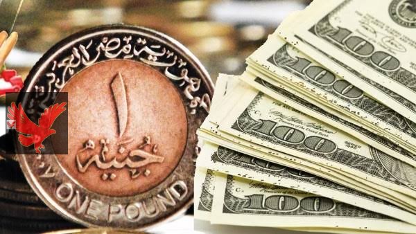 ارتفاع في سعر الدولار… سعر الدولار اليوم 20/4/2025 في البنوك المصرية مقابل الجنيه