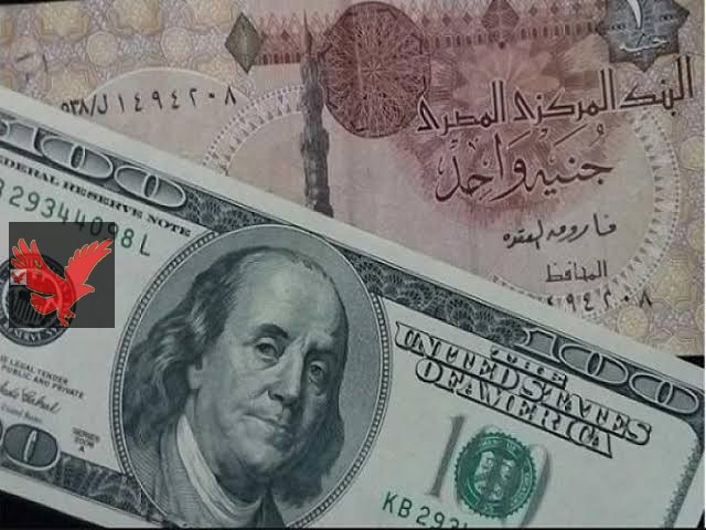 نزول بسيط في السعر .. سعر الدولار مقابل الجنيه المصري اليوم الإثنين 5 مايو في البنوك