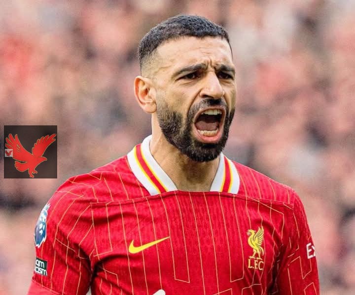 تشكيل ليفربول المتوقع أمام برايتون في الدوري الانجليزي الليلة
