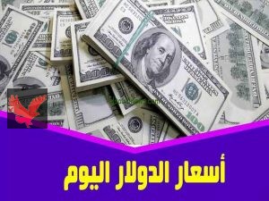 أسعار الدولار مقابل الجنيه المصري اليوم في السوق السوداء